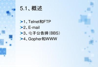 Internet網(wǎng)絡(luò)信息服務(wù)技術(shù) 網(wǎng)絡(luò)技術(shù)服務(wù)概論